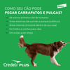 Antipulgas Elanco Credeli Plus Para Cães De 11 A 22Kg - 1 Comprimido