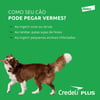 Antipulgas Elanco Credeli Plus Para Cães De 11 A 22Kg - 1 Comprimido