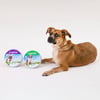 Antipulgas Leevre 32,75G Para Cães - 1 Coleira