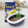 Areia Higiênica Pipicat Campestre Para Gatos - 4Kg