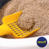 Areia Higiênica Pipicat Multi-Cat Para Gatos - 12Kg