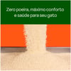 Areia Higiênica Viva Verde Grãos Grossos Para Gatos - 4Kg - 4 Kilos