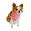 Bandana Básica Rosa Bichinho Chic P - 1 Unidade