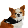Bandana Bichinho Chic Preta - P