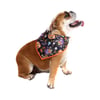 Bandana Halloween Bichinho Chic Tamanho G - 1 Unidade
