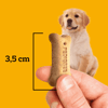 Biscoito Pedigree Biscrok Junior Para Cães Filhotes - 300G