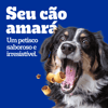 Biscoito Pedigree Biscrok Marrobone Para Cães Adultos Sabor Carne - 200G - 200 Gramas