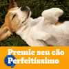 Biscoito Pedigree Biscrok Marrobone Para Cães Adultos Sabor Carne - 200G - 200 Gramas