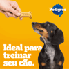 Biscoito Pedigree Biscrok Multi Para Cães Adultos - 500G - 500 Gramas