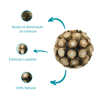 Brinquedo Bolinha Jambo Wood Matatabi Único - 1 Unidade