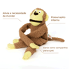 Brinquedo Macaco De Pelúcia Buddy Flicks Para Cães Único