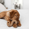 Brinquedo Mastigável Benebone Tripe Bone P - 1 Unidade