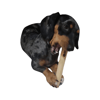 Brinquedo Mordedor Sustentável Amicus Wood Para Cães Pequeno - 1 Unidade - Tamanho G
