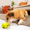 Brinquedo Mr. Ginger Verde Para Cães - 1 Unidade