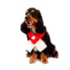 Cachecol Natalino Bichinho Chic P Para Cachorros