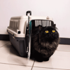 Caixa De Transporte C-Pet Xxg