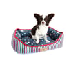 Cama Nave Espacial Bichinho Chic P Para Cachorros
