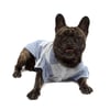Camisa Elegance Azul Nº 00 Bichinho Chic Para Cachorros