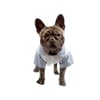 Camisa Elegance Azul Nº 00 Bichinho Chic Para Cachorros
