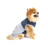 Camiseta Bichinho Chic Azul Nº 07 - 1 Unidade