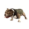 Capa Camuflada Bichinho Chic Nº 07