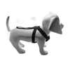 Cinto De Segurança Santa Fé Pet Para Cães Pequenos - 1 Unidade