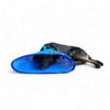 Colar Elizabetano Vestdog Vestflex Azul Nº 1 Para Cachorros