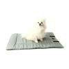 Colchonete Para Viagem Bichinho Chic Verde G Para Cachorros