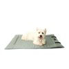 Colchonete Para Viagem Bichinho Chic Verde G Para Cachorros