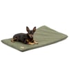 Colchonete Resistente Verde Bichinho Chic P - 1 Unidade
