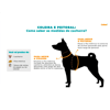 Coleira Doco Signature Nylon Cinza Para Cães P - 1 Unidade
