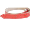Coleira Dog Lar Vermelha 27Cm - 1 Unidade