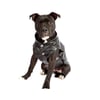 Colete Bichinho Chic Preto Nº 06 Para Cachorros