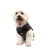 Colete Bichinho Chic Preto Nº 06 Para Cachorros