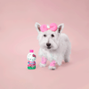 Condicionador Hidratante Hello Kitty Pet Society Para Cães E Gatos - 300Ml
