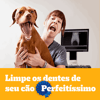 Cuidado Oral Pedigree Dentastix Para Cães Adultos Raças Pequenas - 3 Unidades