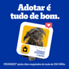 Cuidado Oral Pedigree Dentastix Para Cães Adultos Raças Pequenas - 3 Unidades