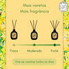 Difusor De Ambientes Flor De Baunilha Giorno Casa 150Ml - 1 Unidade