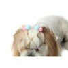 Enfeite Pom Pom Bichinho Chic P Para Cachorros