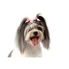 Enfeite Pom Pom Bichinho Chic P Para Cachorros