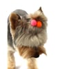 Enfeite Pom Pom Bichinho Chic P Para Cachorros