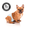 Fralda Higiênica Ecofralda Dogs Care Para Cães Machos P - 12 Unidades - Tamanho P
