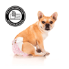 Fralda Higiênica Ecofralda Para Fêmea Dog'S Care M - 12 Unidades - Tamanho PP