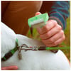 Furminator Escova Para Cães Médios De Pelo Curto - 1 Unidade