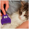 Furminator Para Gatos Médio/Grande De Pelo Curto - 1 Unidade