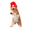 Gorrinho De Natal Bichinho Chic Vermelho Pp Para Cachorros