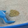 Granulado Higiênico Kets White Sílica Extra Fino Para Gatos - 1,8Kg