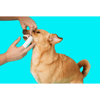 Higiene Bucal Pet Clean Dedal Care - 30 Unidades
