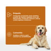 Higienizador Antisséptico Soft Care Propcalm Spray Para Cães E Gatos - 100Ml