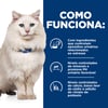 Hill'S Prescription Diet C/D Multicare Para Gatos Adultos - Cuidado Urinário - 3,8Kg